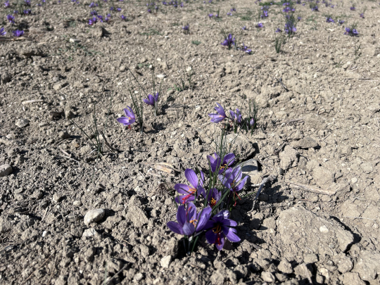 Επισκόπηση του ερευνητικού έργου
