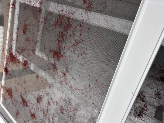 Ανάλυση αποτελεσμάτων έρευνας